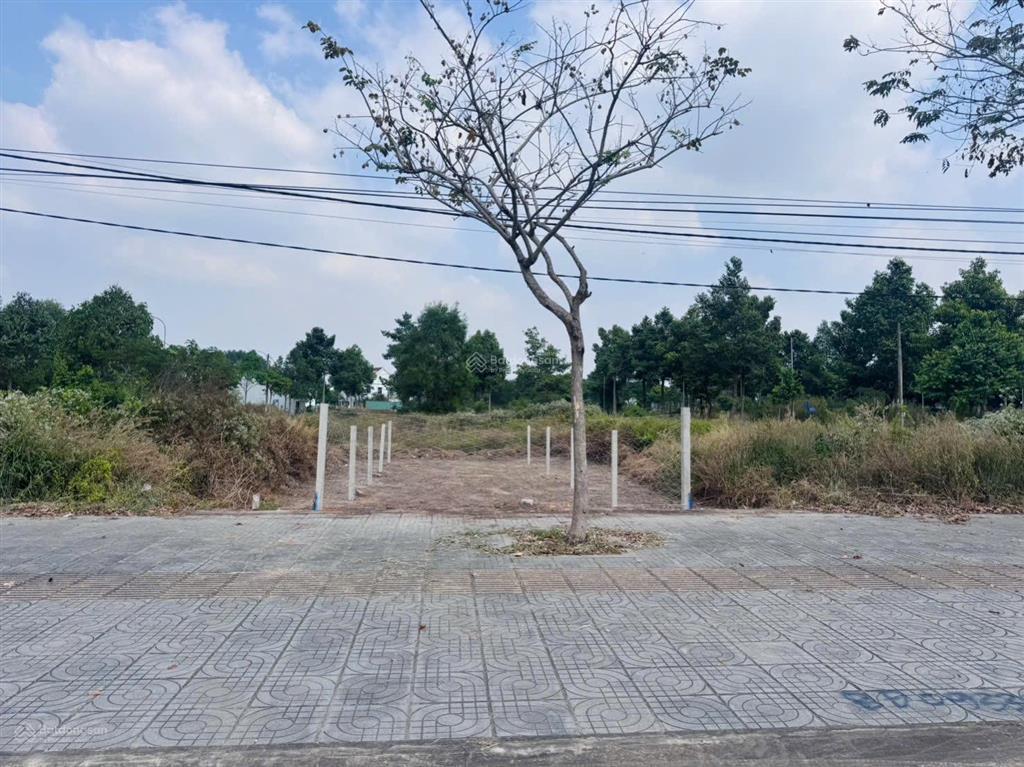 Bất động sản tại Bà Rịa - Vũng Tàu - ảnh 1