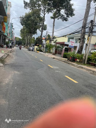 Bất động sản tại Đồng Tháp - ảnh 1