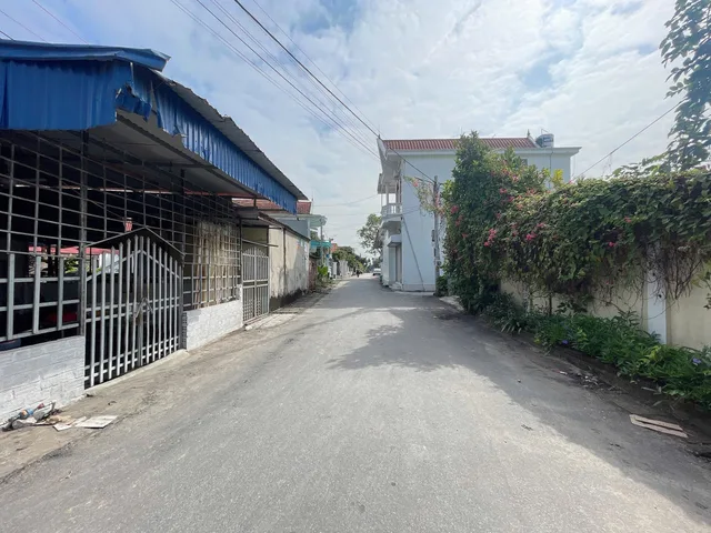Bất động sản tại Hải Phòng - ảnh 1