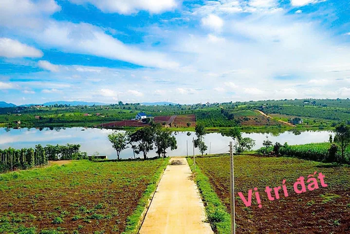 Bất động sản tại Lâm Đồng - ảnh 1