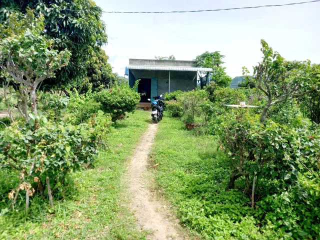 Bất động sản tại Lâm Đồng - ảnh 1