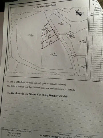 Bất động sản tại Phú Thọ - ảnh 1
