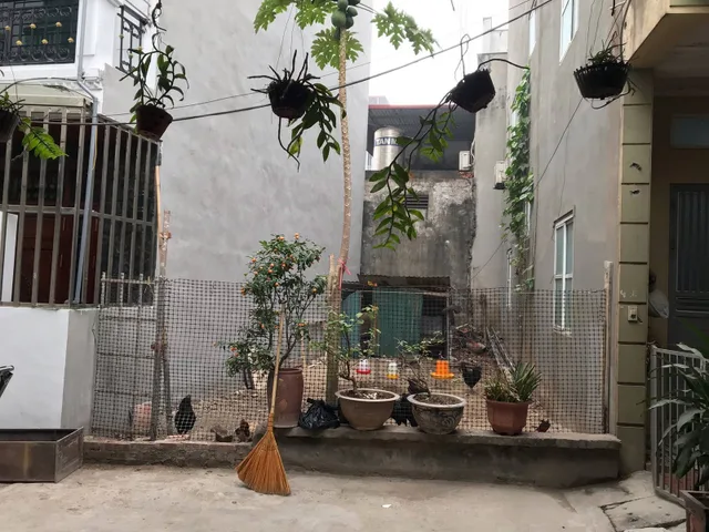 Bất động sản tại Hà Nội - ảnh 1