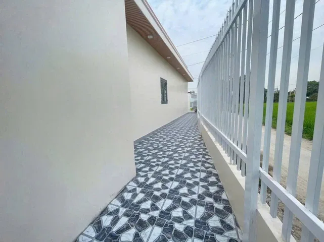 Bất động sản tại Long An - ảnh 1