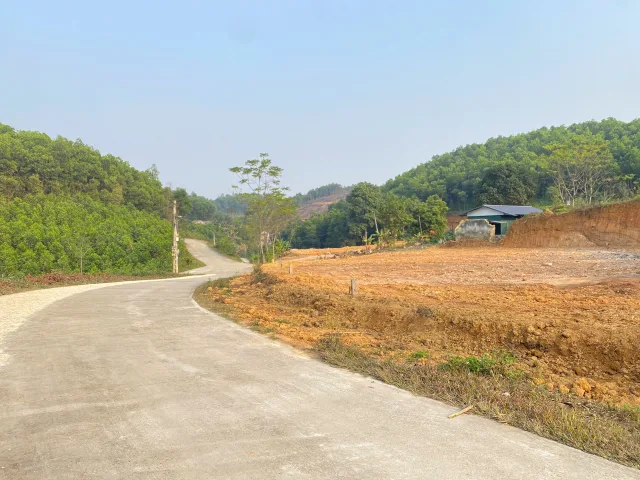Bất động sản tại Phú Thọ - ảnh 1