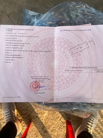 Bất động sản tại Phú Thọ - ảnh 1