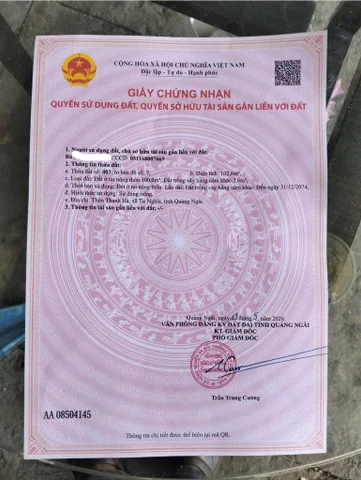 Bất động sản tại Quảng Ngãi - ảnh 1