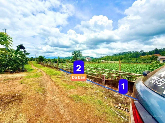 Bất động sản tại Đắk Lắk - ảnh 1