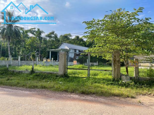 Bất động sản tại Thừa Thiên Huế - ảnh 1