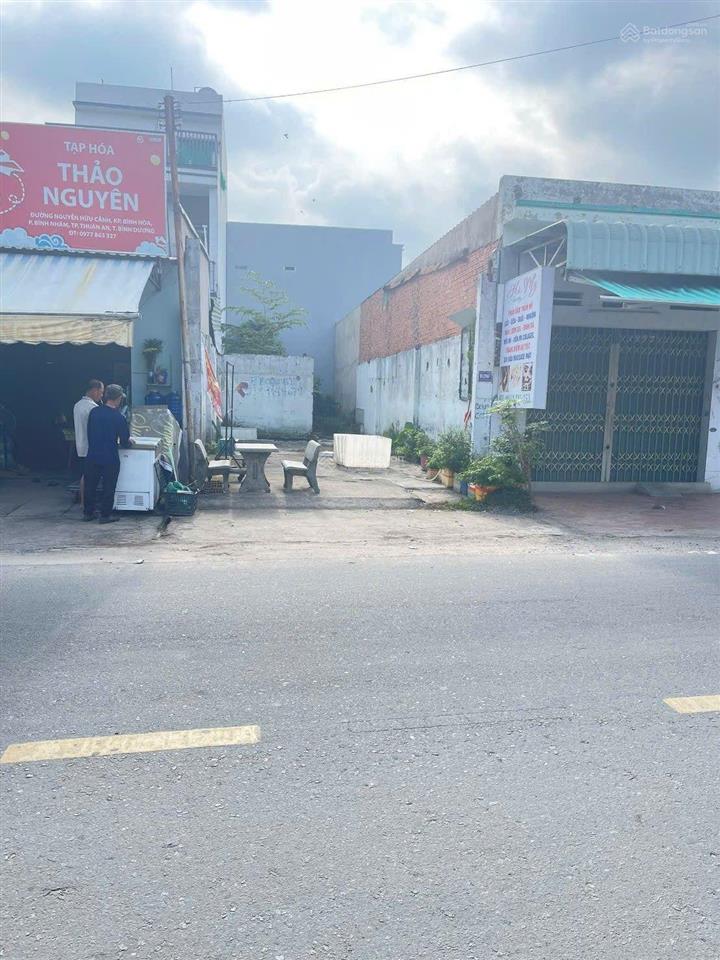 Bất động sản tại Bình Dương - ảnh 1