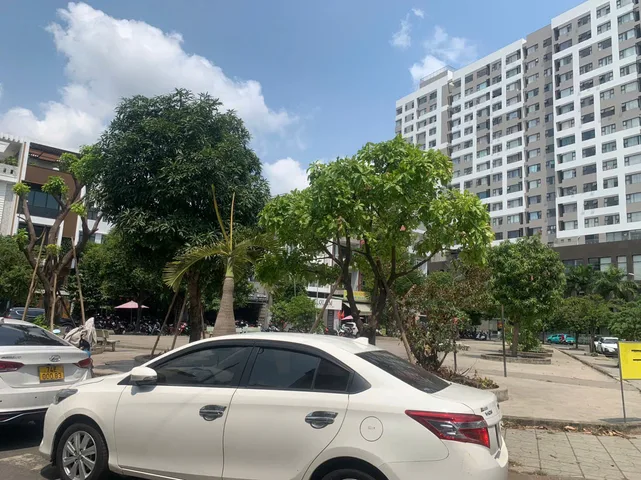 Bất động sản tại TP. Hồ Chí Minh - ảnh 1