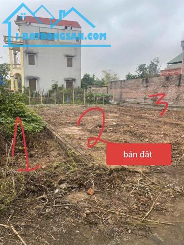 Bất động sản tại Hưng Yên - ảnh 1