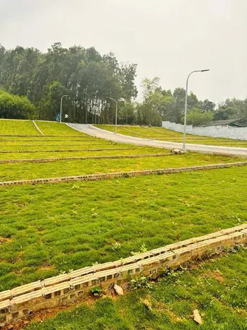 Bất động sản tại Hòa Bình - ảnh 1