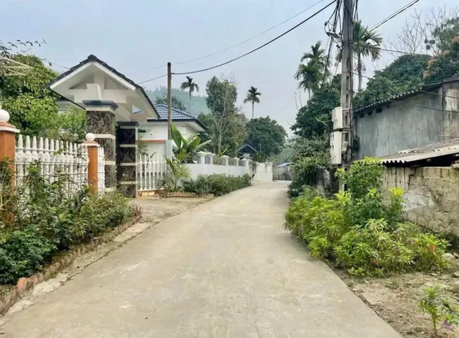 Bất động sản tại Phú Thọ - ảnh 1