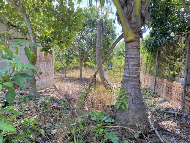 Bất động sản tại Tây Ninh - ảnh 1