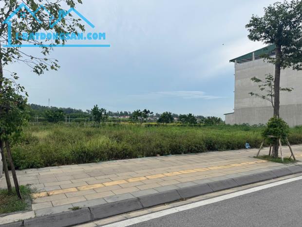 Bất động sản tại Bắc Ninh - ảnh 1