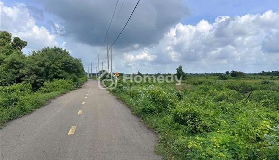 Bất động sản tại Bà Rịa - Vũng Tàu - ảnh 1