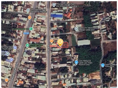 Bất động sản tại Bình Dương - ảnh 1