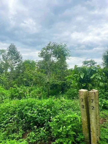 Bất động sản tại Đắk Lắk - ảnh 1