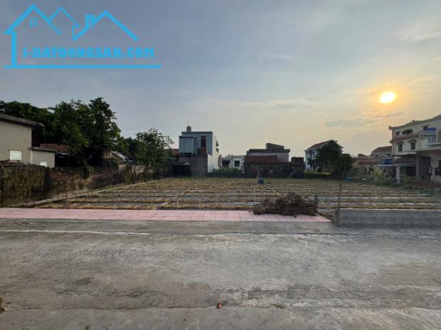 Bất động sản tại Nam Định - ảnh 1