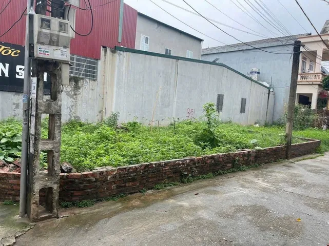 Bất động sản tại Phú Thọ - ảnh 1
