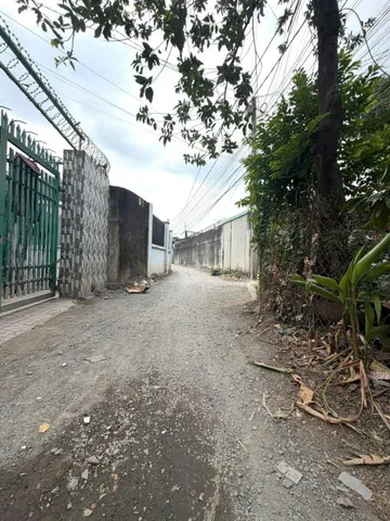 Bất động sản tại Đồng Nai - ảnh 1