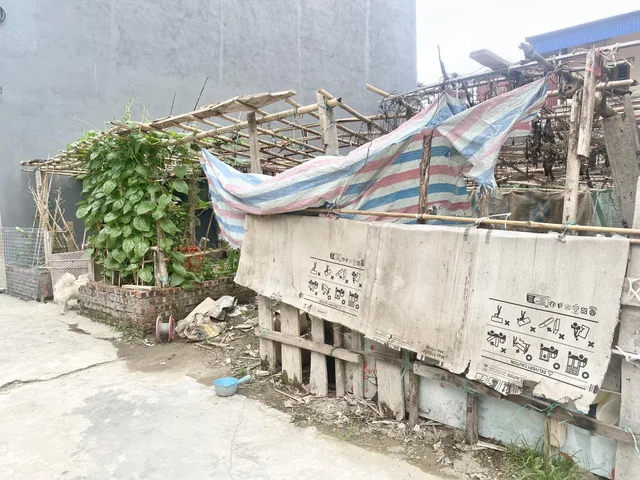 Bất động sản tại Hải Phòng - ảnh 1