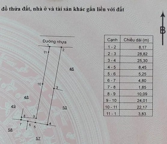 Bất động sản tại Bà Rịa - Vũng Tàu - ảnh 1