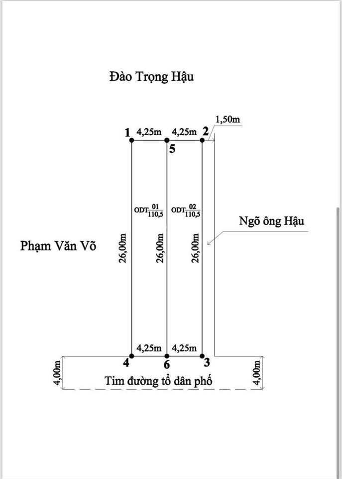 Bất động sản tại Hải Phòng - ảnh 1