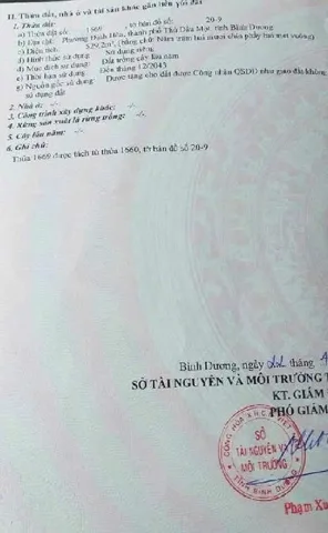 Bất động sản tại Bình Dương - ảnh 1
