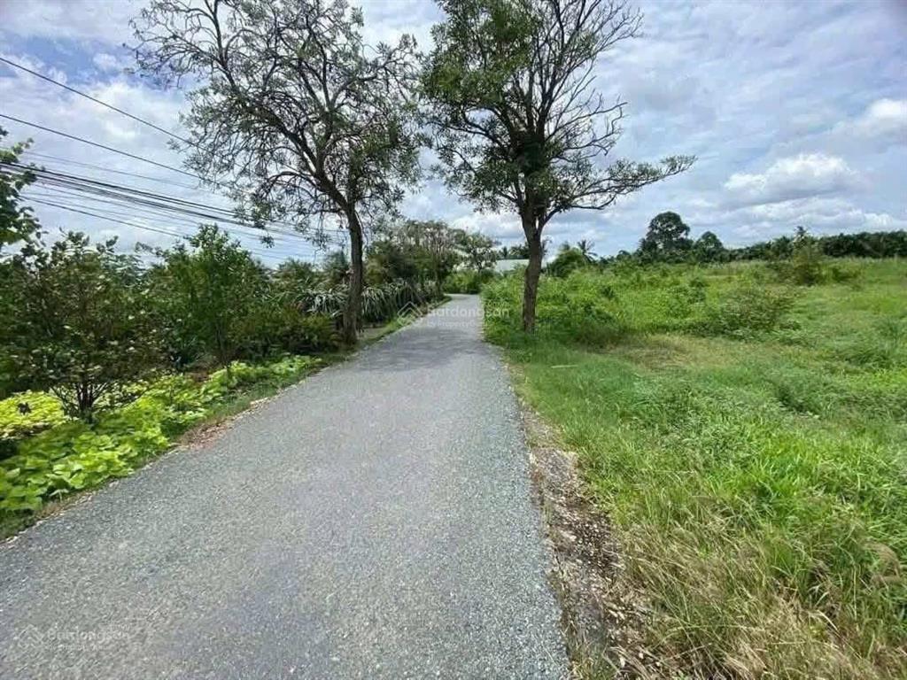 Bất động sản tại Long An - ảnh 1