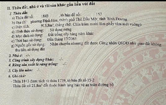 Bất động sản tại Bình Dương - ảnh 1