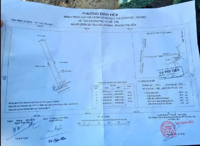 Bất động sản tại Bình Dương - ảnh 1