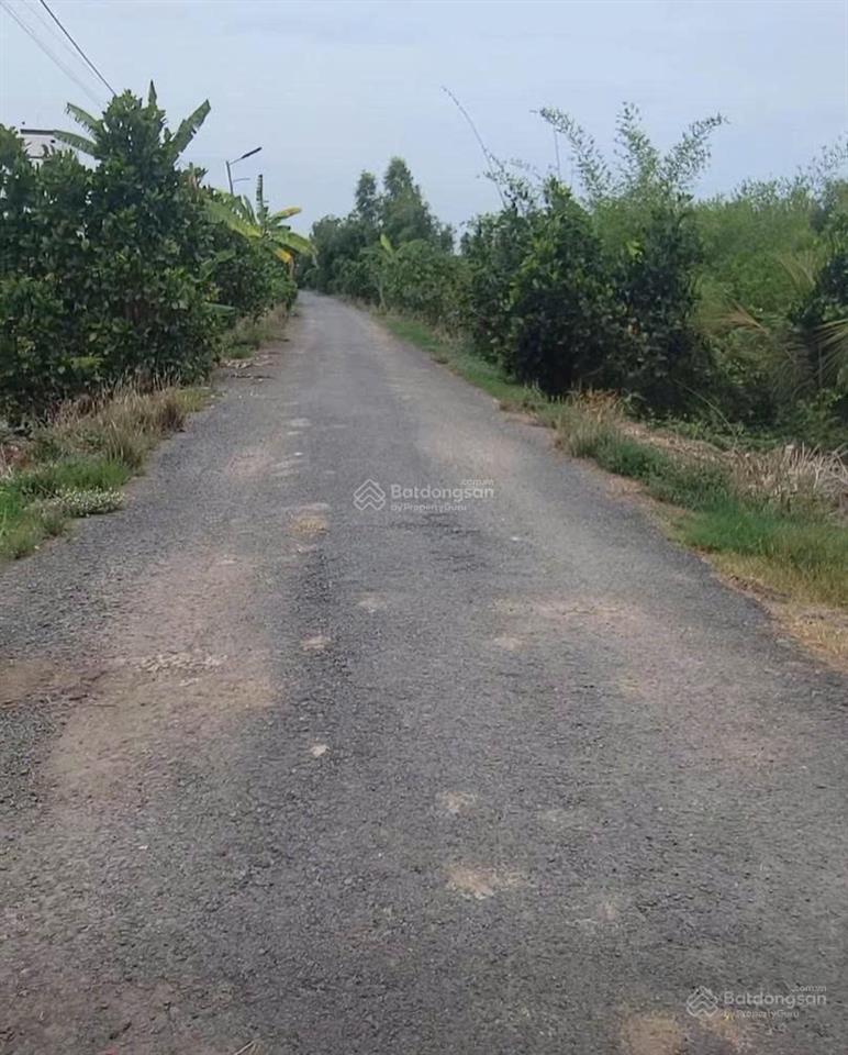 Bất động sản tại Long An - ảnh 1