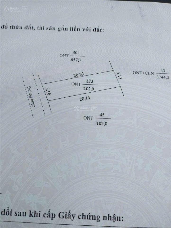 Bất động sản tại Long An - ảnh 1