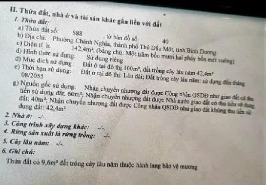 Bất động sản tại Bình Dương - ảnh 1