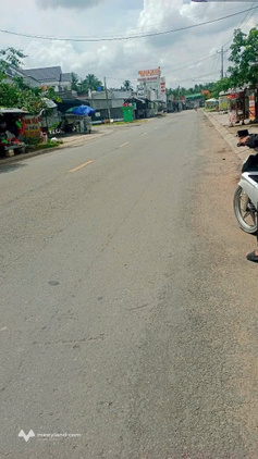 Bất động sản tại Bến Tre - ảnh 1