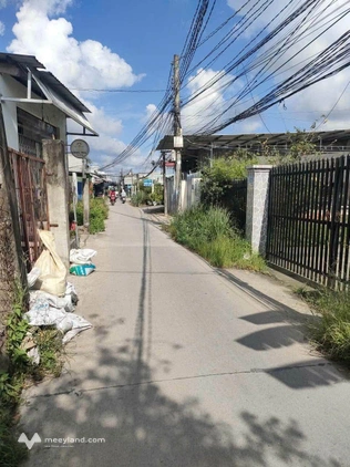 Bất động sản tại Long An - ảnh 1