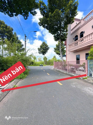 Bất động sản tại Đồng Tháp - ảnh 1