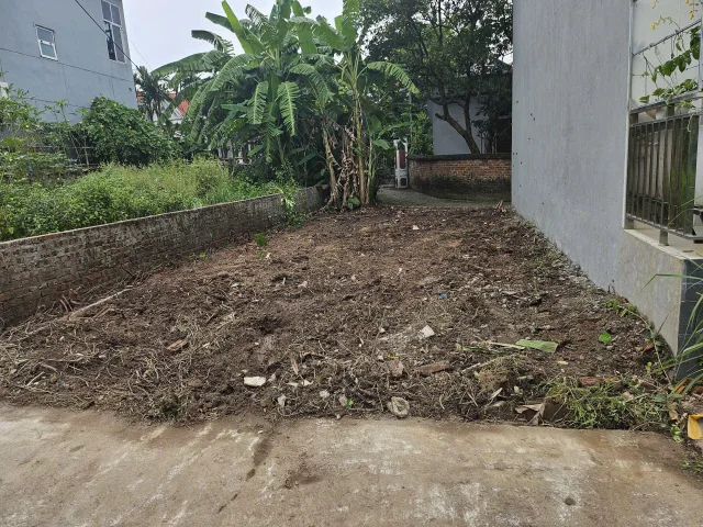Bất động sản tại Phú Thọ - ảnh 1