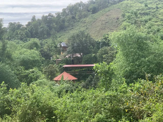 Bất động sản tại Phú Thọ - ảnh 1