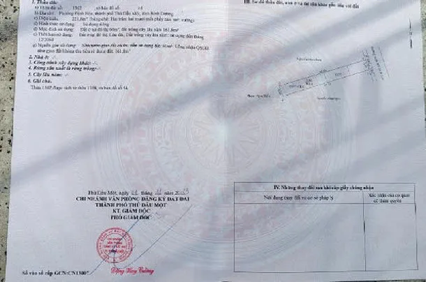 Bất động sản tại Bình Dương - ảnh 1