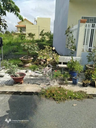 Bất động sản tại Long An - ảnh 1