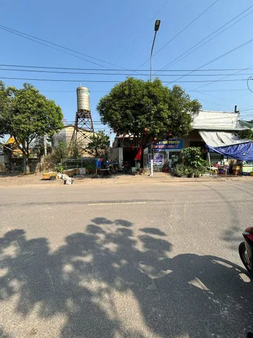 Bất động sản tại Đồng Nai - ảnh 1