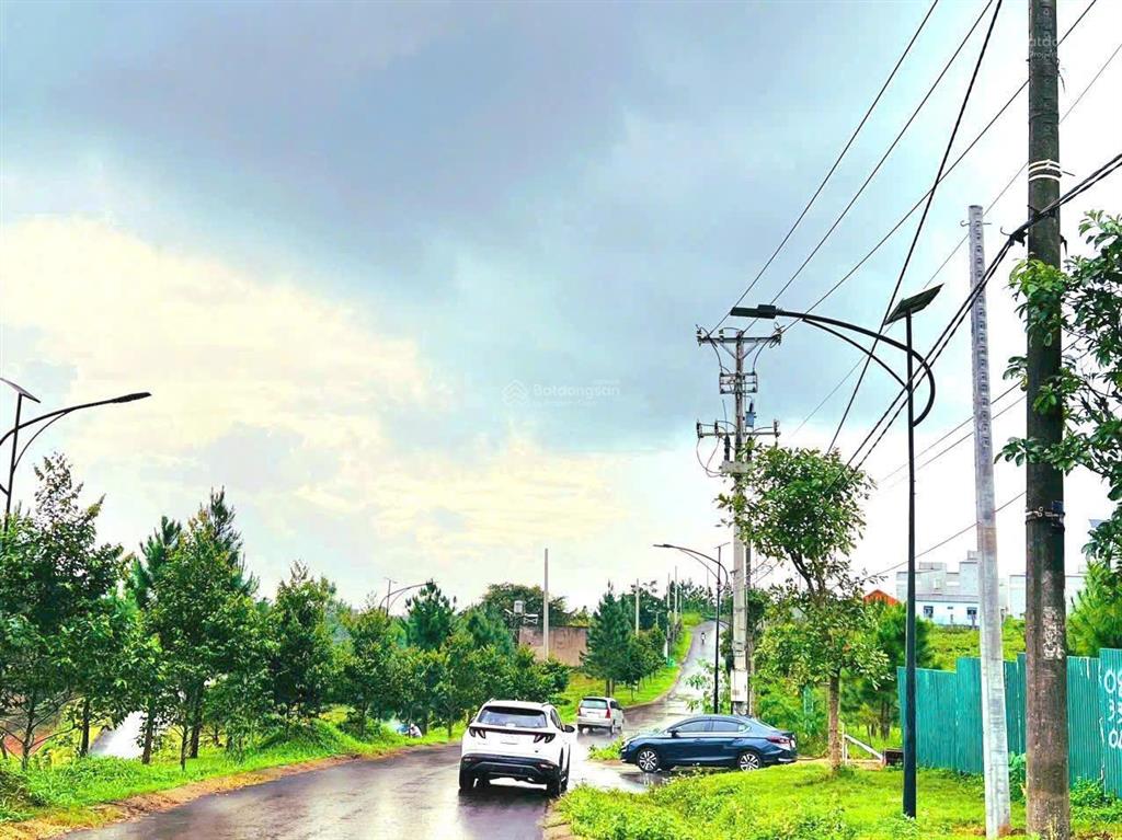 Bất động sản tại Lâm Đồng - ảnh 1