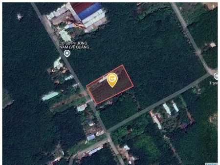 Bất động sản tại Bình Dương - ảnh 1