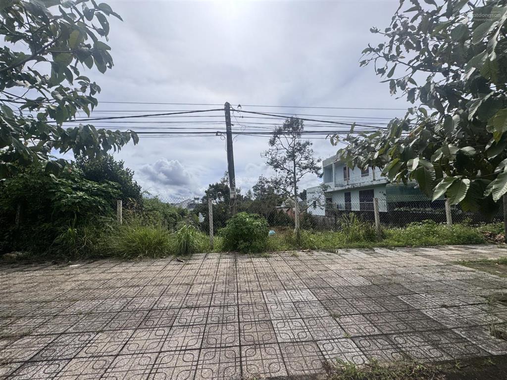 Bất động sản tại Lâm Đồng - ảnh 1