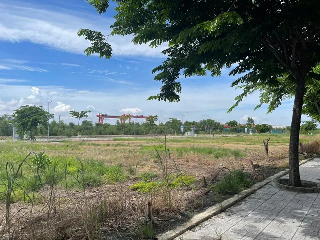 Bất động sản tại Long An - ảnh 1