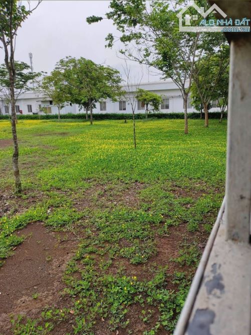 Bất động sản tại Bình Phước - ảnh 1