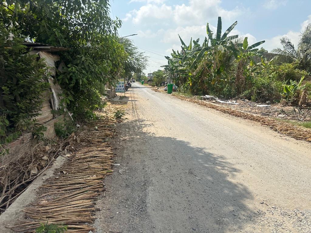 Bất động sản tại Long An - ảnh 1
